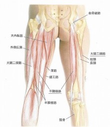 仙台市泉区ボディーコンディショニングルーム縁 膝痛のなぜ